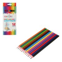228-012 Карандаши 12 цветов шестигранные заточ., пластик, в кор