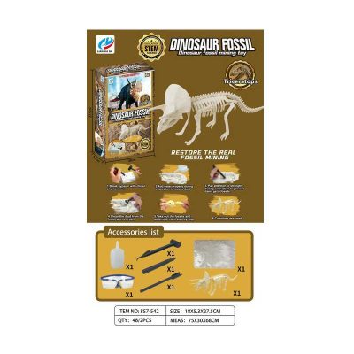 857-542 Набор архиолог